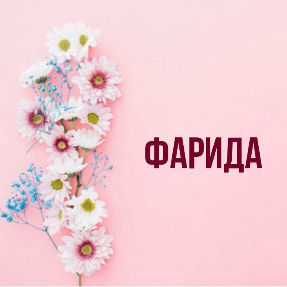 Открытка на каждый день с именем, Фарида Главная Родная моя с днем рождения тебя картинка с цветами белыми и голубыми Прикольная открытка с пожеланием онлайн скачать бесплатно 