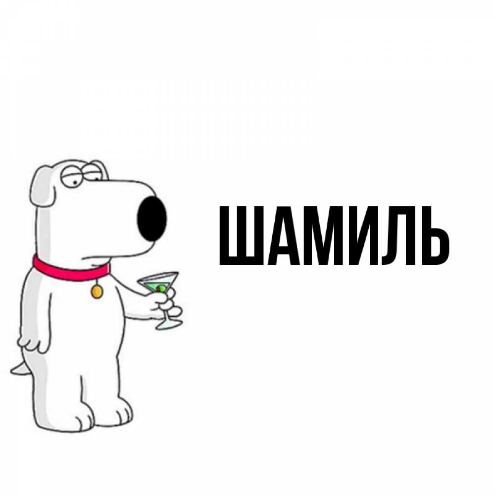 Открытка на каждый день с именем, Шамиль Главная герои мультфильмов белый пес Прикольная открытка с пожеланием онлайн скачать бесплатно 