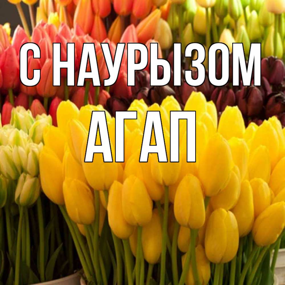 Открытка на каждый день с именем, Агап С наурызом цветы Прикольная открытка с пожеланием онлайн скачать бесплатно 