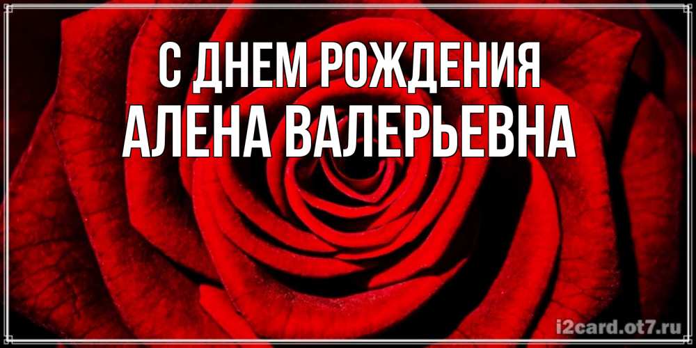 Открытка на каждый день с именем, Алена-Валерьевна С днем рождения алая роза Прикольная открытка с пожеланием онлайн скачать бесплатно 