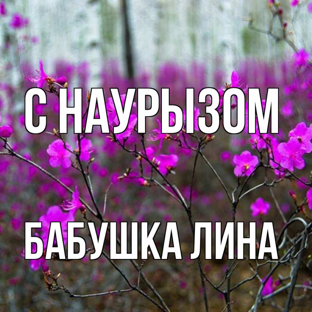 Открытка на каждый день с именем, Бабушка-Лина С наурызом дикие цветы Прикольная открытка с пожеланием онлайн скачать бесплатно 