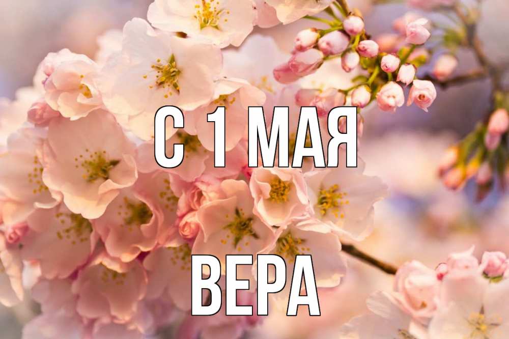 Открытка на каждый день с именем, Вера С 1 мая С 1 мая Прикольная открытка с пожеланием онлайн скачать бесплатно 