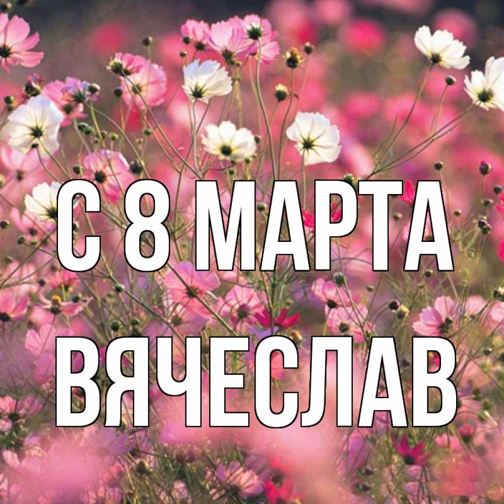 Открытка на каждый день с именем, Вячеслав С 8 МАРТА красиво 1 Прикольная открытка с пожеланием онлайн скачать бесплатно 