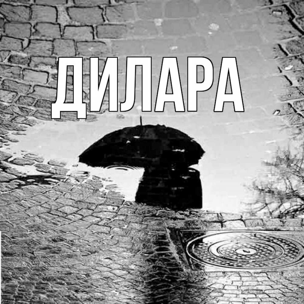 Открытка на каждый день с именем, Дилара Главная отражение в луже Прикольная открытка с пожеланием онлайн скачать бесплатно 