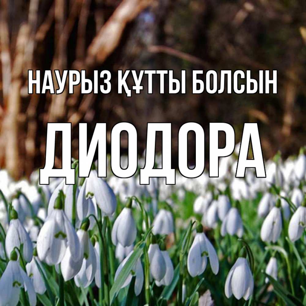 Открытка на каждый день с именем, Диодора Наурыз құтты болсын с подснежниками 1 Прикольная открытка с пожеланием онлайн скачать бесплатно 