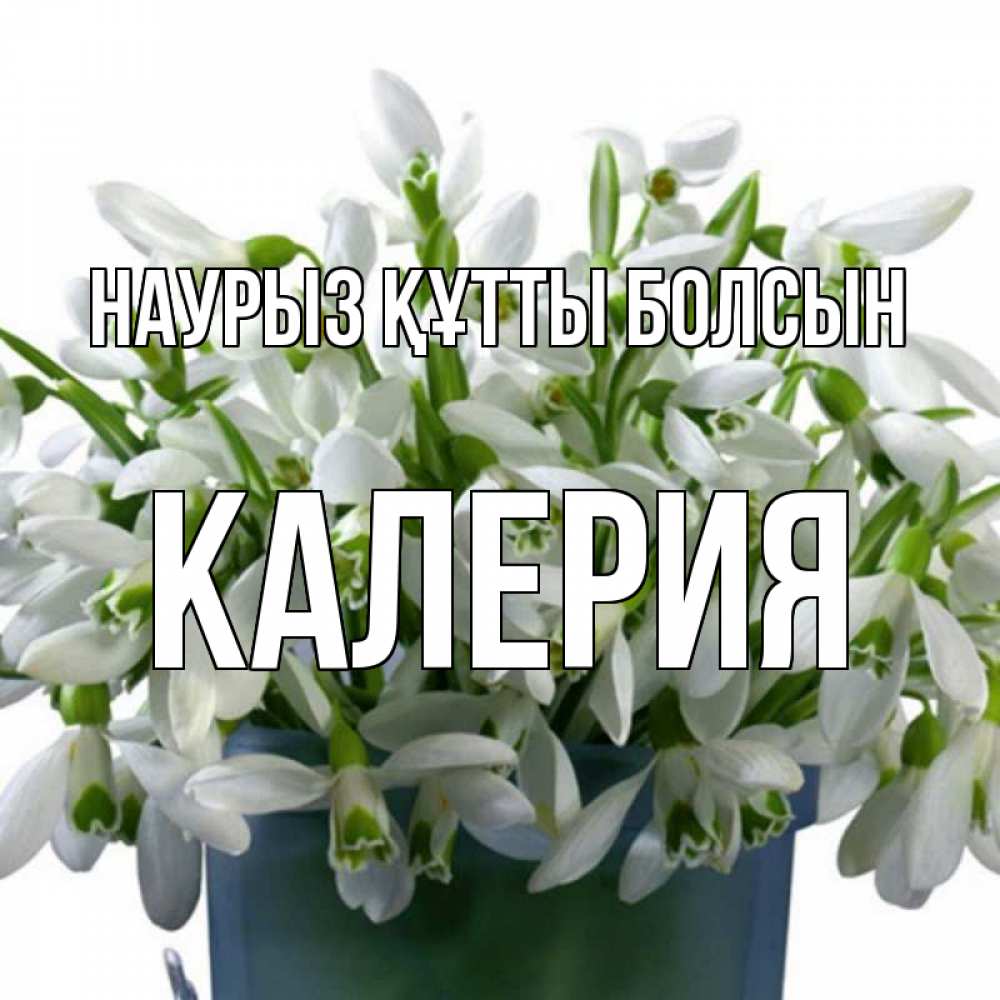 Открытка на каждый день с именем, Калерия Наурыз құтты болсын цветы к наурызу Прикольная открытка с пожеланием онлайн скачать бесплатно 
