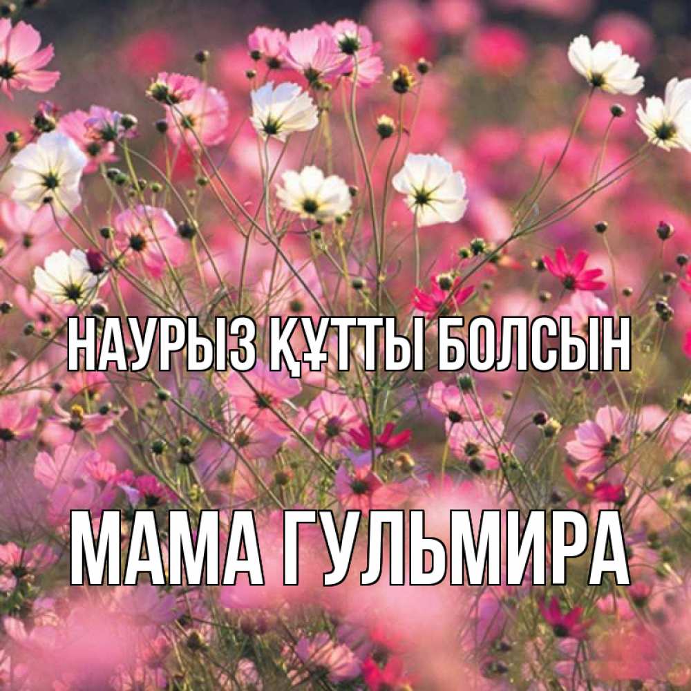 Открытка на каждый день с именем, Мама-Гульмира Наурыз құтты болсын красиво 1 Прикольная открытка с пожеланием онлайн скачать бесплатно 