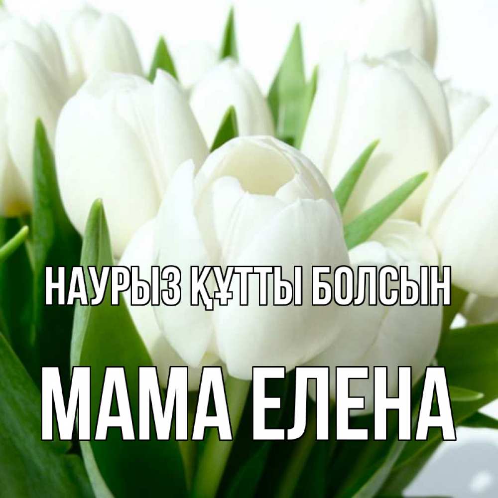 Открытка на каждый день с именем, Мама-Елена Наурыз құтты болсын цветы Прикольная открытка с пожеланием онлайн скачать бесплатно 