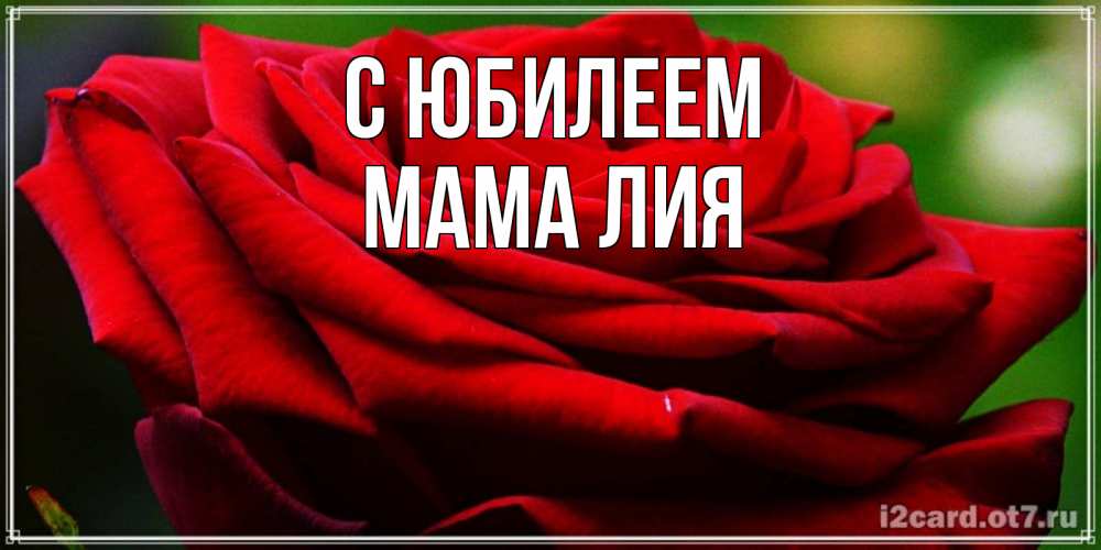Открытка на каждый день с именем, Мама-Лия С юбилеем розочка очень красивая Прикольная открытка с пожеланием онлайн скачать бесплатно 