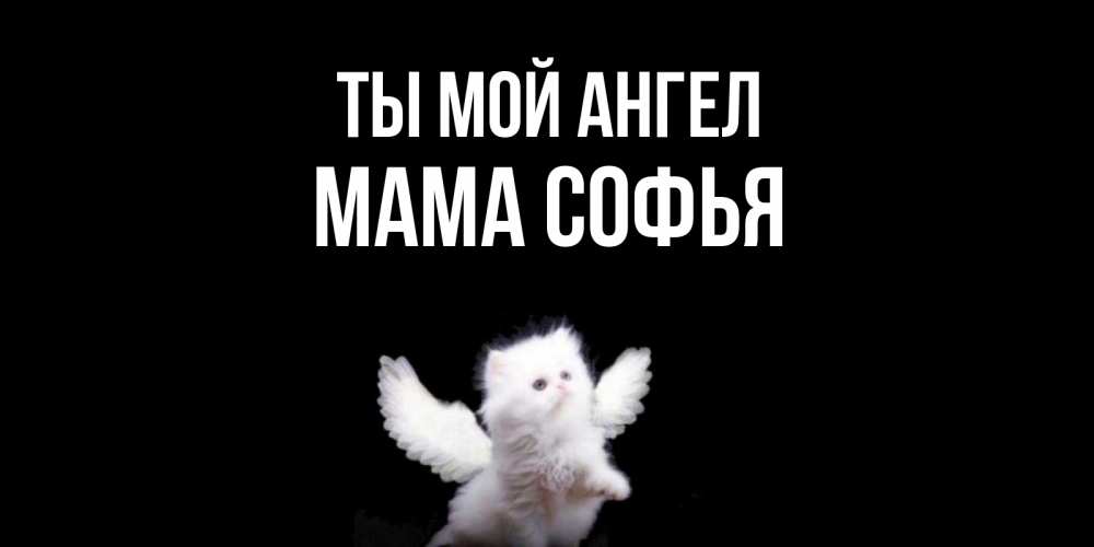 Открытка на каждый день с именем, Мама-Софья Ты мой ангел Кот ангел Прикольная открытка с пожеланием онлайн скачать бесплатно 