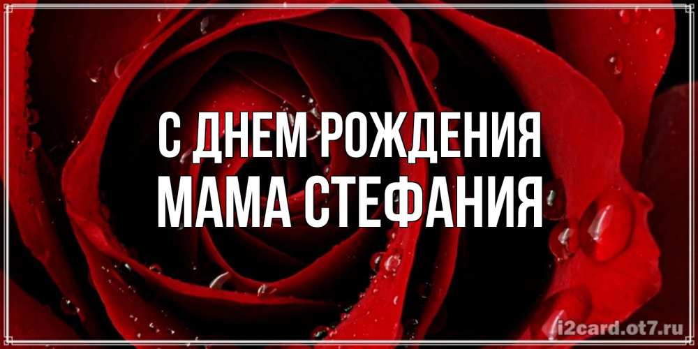 Открытка на каждый день с именем, Мама-Стефания С днем рождения крупная бордовая роза Прикольная открытка с пожеланием онлайн скачать бесплатно 