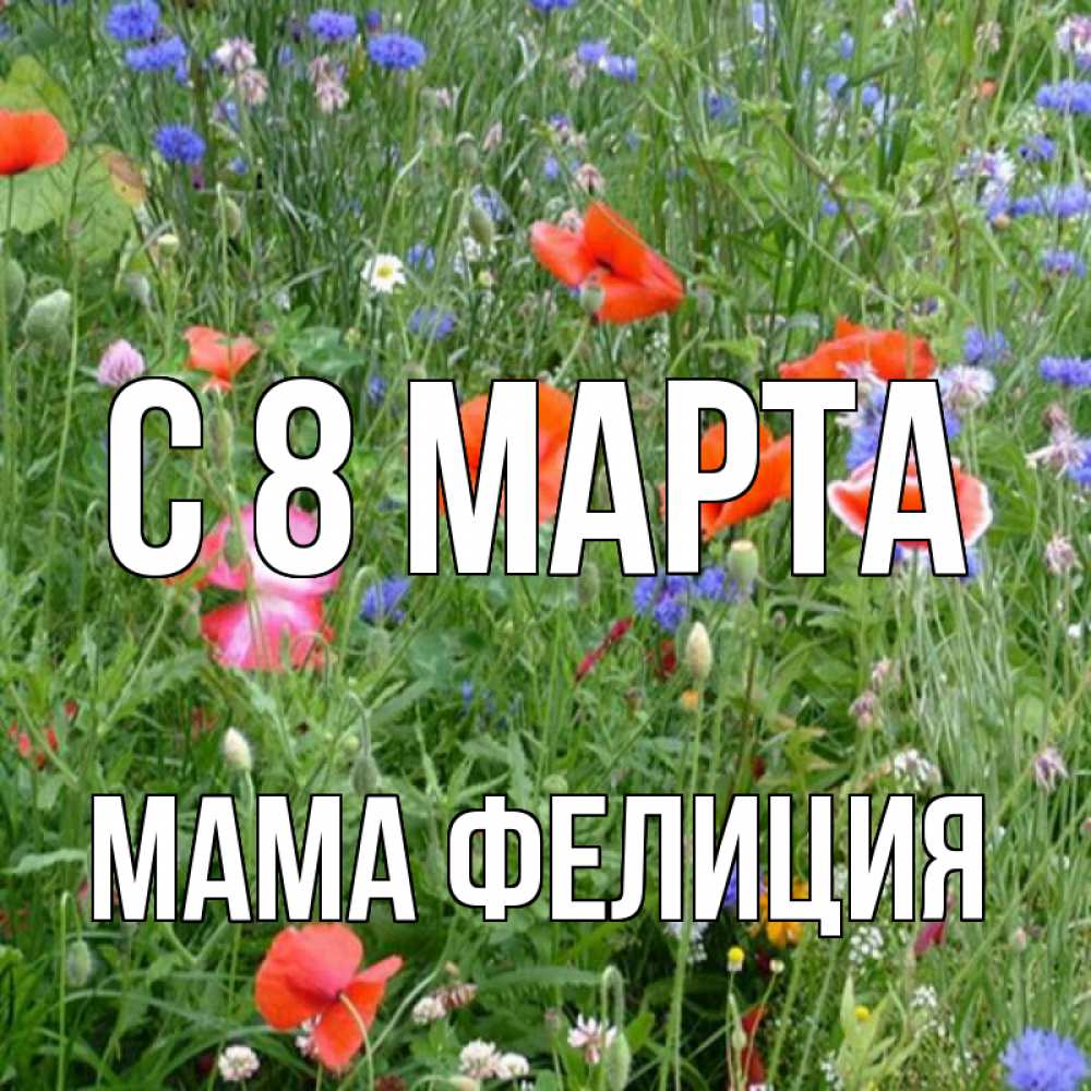 Открытка на каждый день с именем, Мама-Фелиция С 8 МАРТА международный женский день 4 Прикольная открытка с пожеланием онлайн скачать бесплатно 