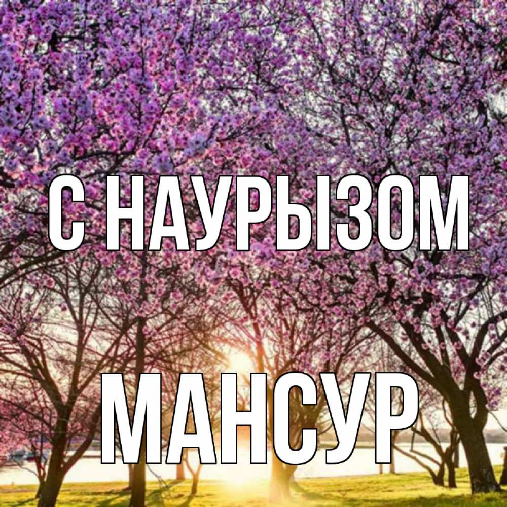Открытка на каждый день с именем, Мансур С наурызом праздник весны наурыз Прикольная открытка с пожеланием онлайн скачать бесплатно 