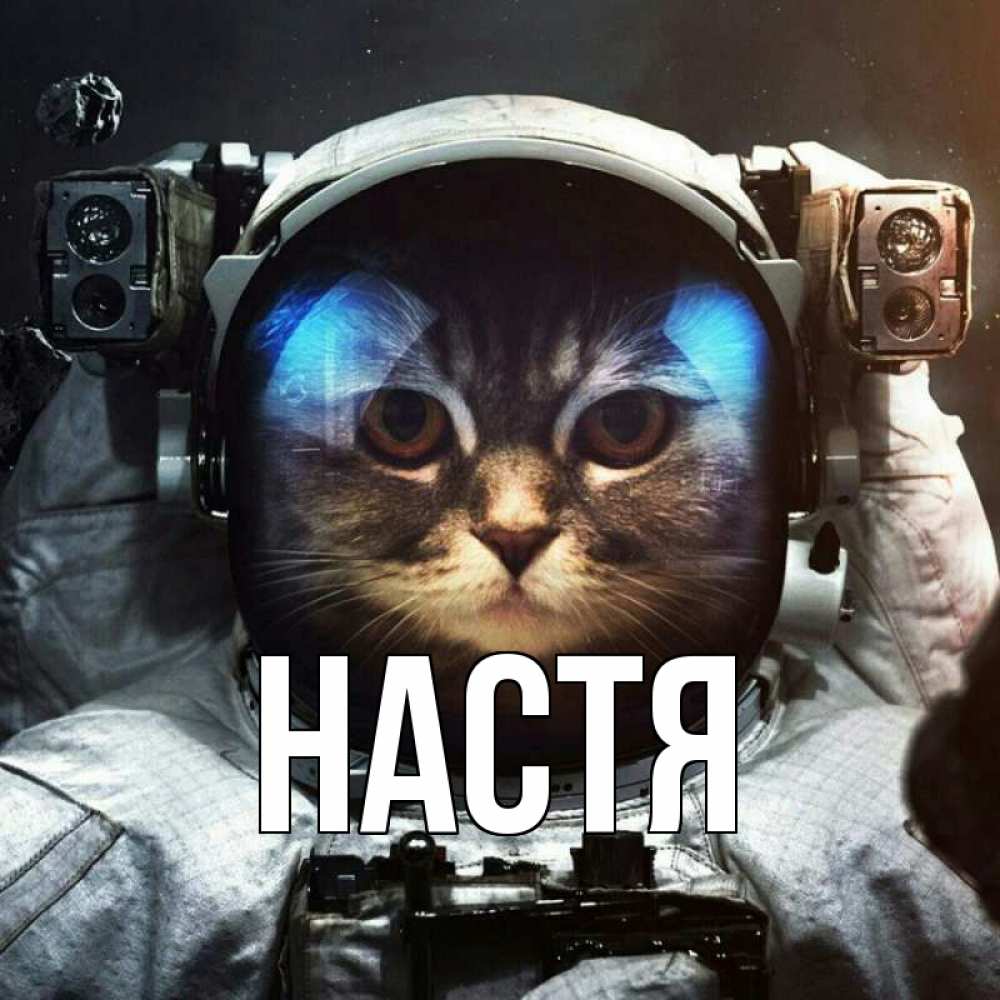Открытка на каждый день с именем, Настя Главная желает удачно добраться Прикольная открытка с пожеланием онлайн скачать бесплатно 