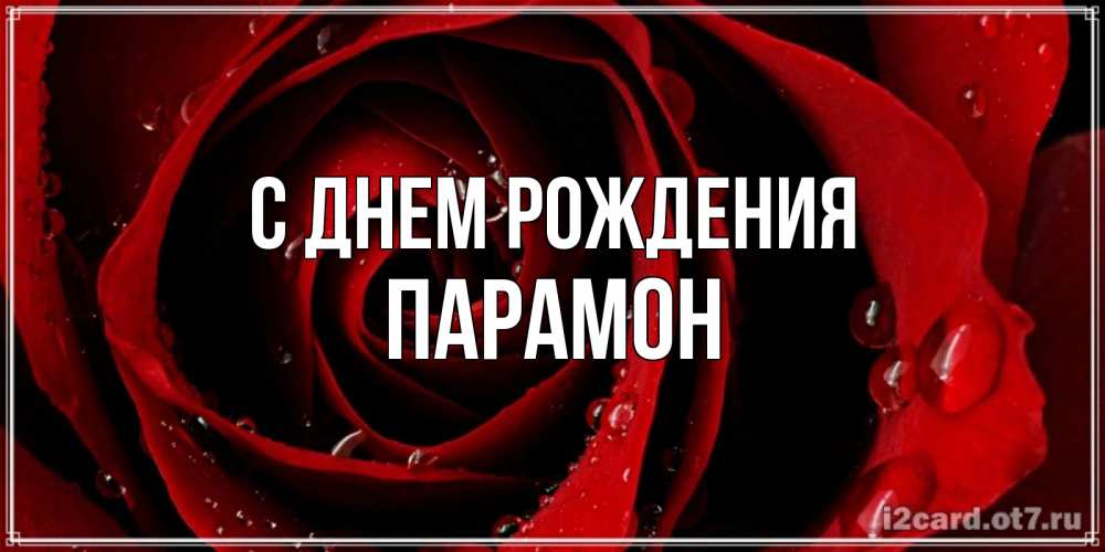Открытка на каждый день с именем, Парамон С днем рождения крупная бордовая роза Прикольная открытка с пожеланием онлайн скачать бесплатно 