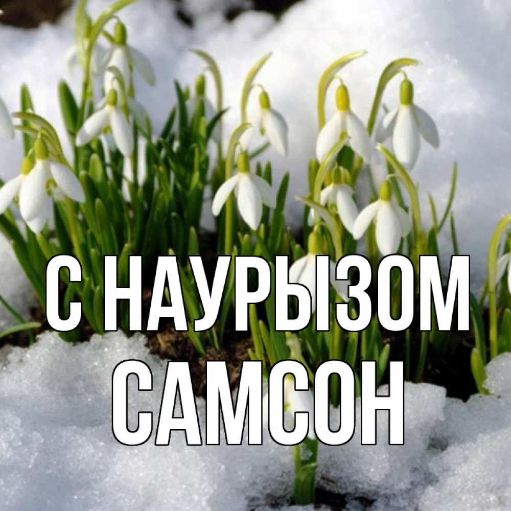 Открытка на каждый день с именем, Самсон С наурызом цветы весенние Прикольная открытка с пожеланием онлайн скачать бесплатно 