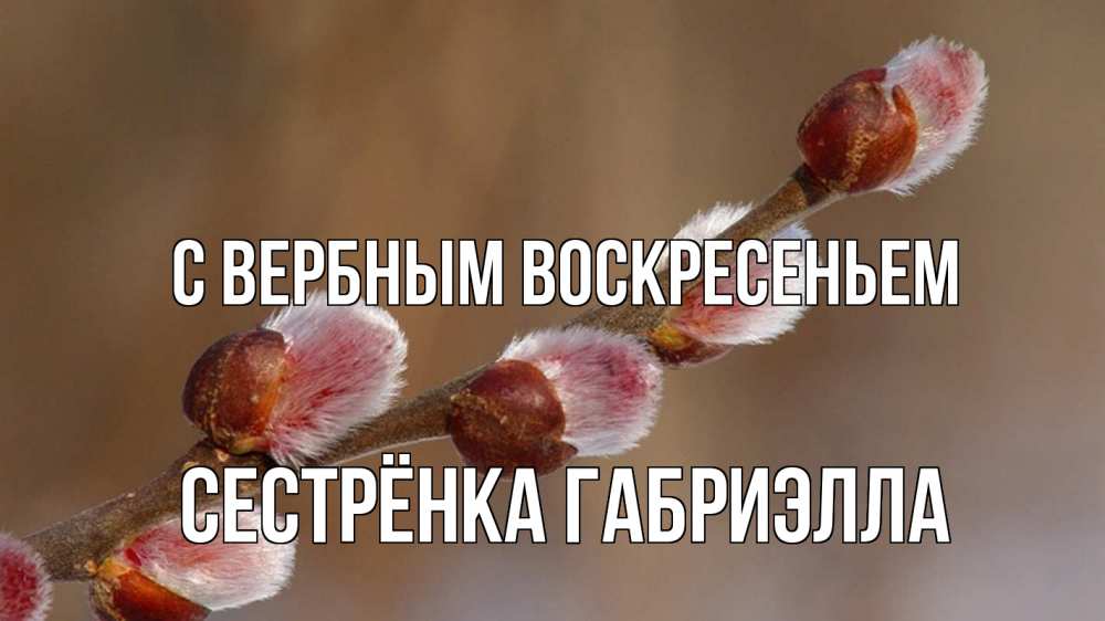 Открытка на каждый день с именем, Сестрёнка-Габриэлла С вербным воскресеньем верба Прикольная открытка с пожеланием онлайн скачать бесплатно 