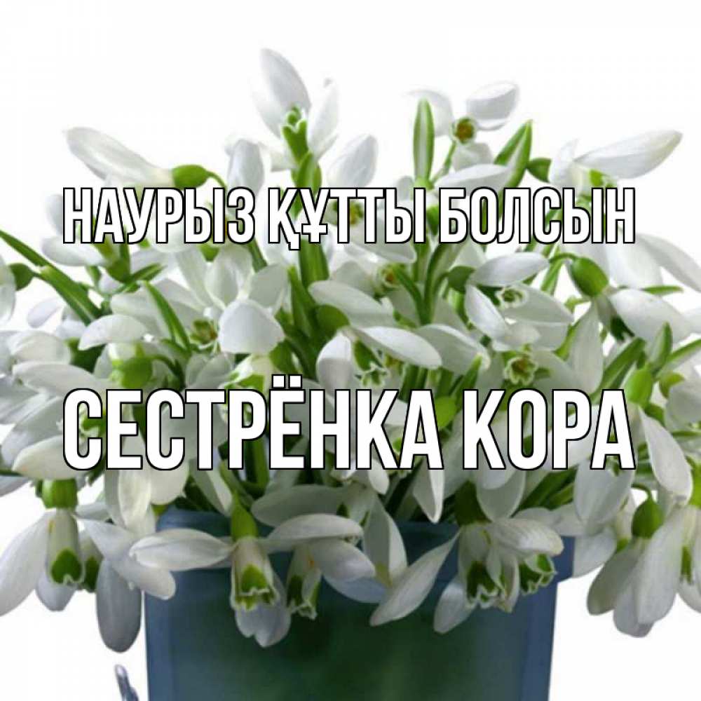 Открытка на каждый день с именем, Сестрёнка-Кора Наурыз құтты болсын цветы к наурызу Прикольная открытка с пожеланием онлайн скачать бесплатно 