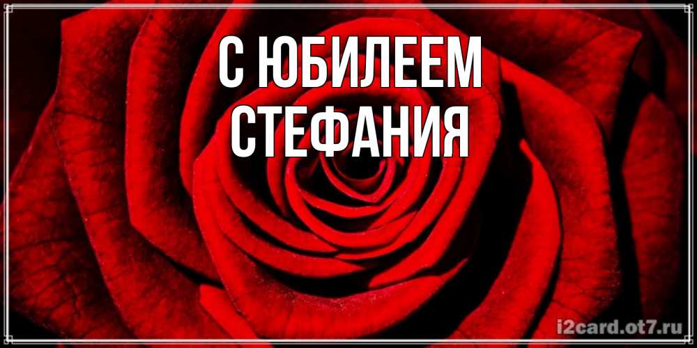 Открытка на каждый день с именем, Стефания С юбилеем алая роза Прикольная открытка с пожеланием онлайн скачать бесплатно 