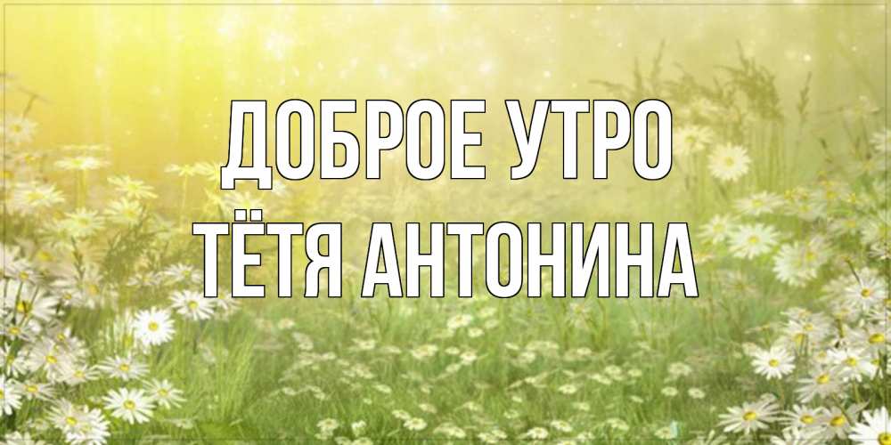 Открытка на каждый день с именем, Тётя-Антонина Доброе утро доброе утро Прикольная открытка с пожеланием онлайн скачать бесплатно 