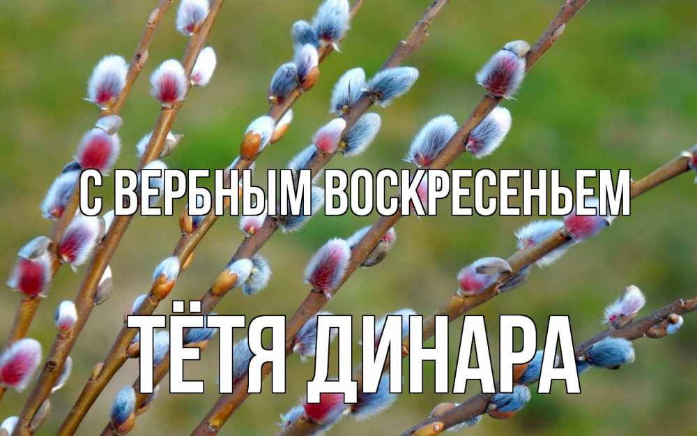 Открытка на каждый день с именем, Тётя-Динара С вербным воскресеньем верба Прикольная открытка с пожеланием онлайн скачать бесплатно 