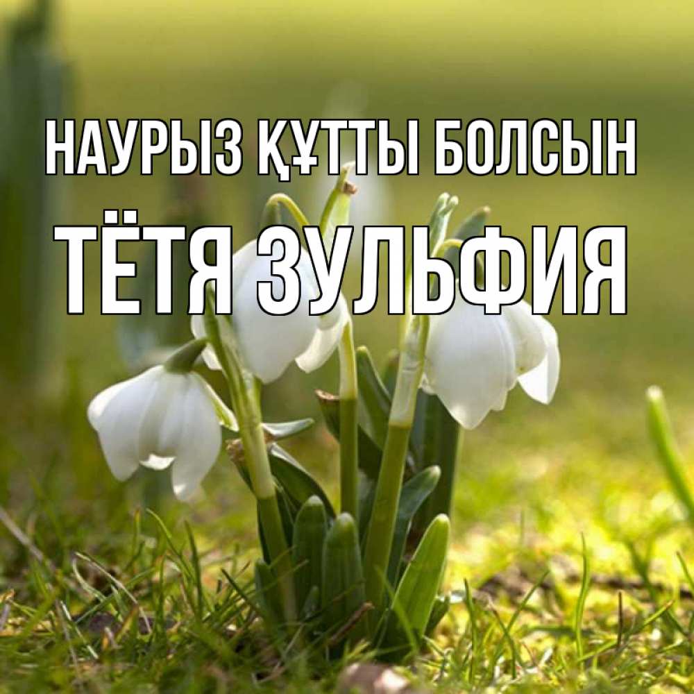 Открытка на каждый день с именем, Тётя-Зульфия Наурыз құтты болсын ранние цветы 2 Прикольная открытка с пожеланием онлайн скачать бесплатно 