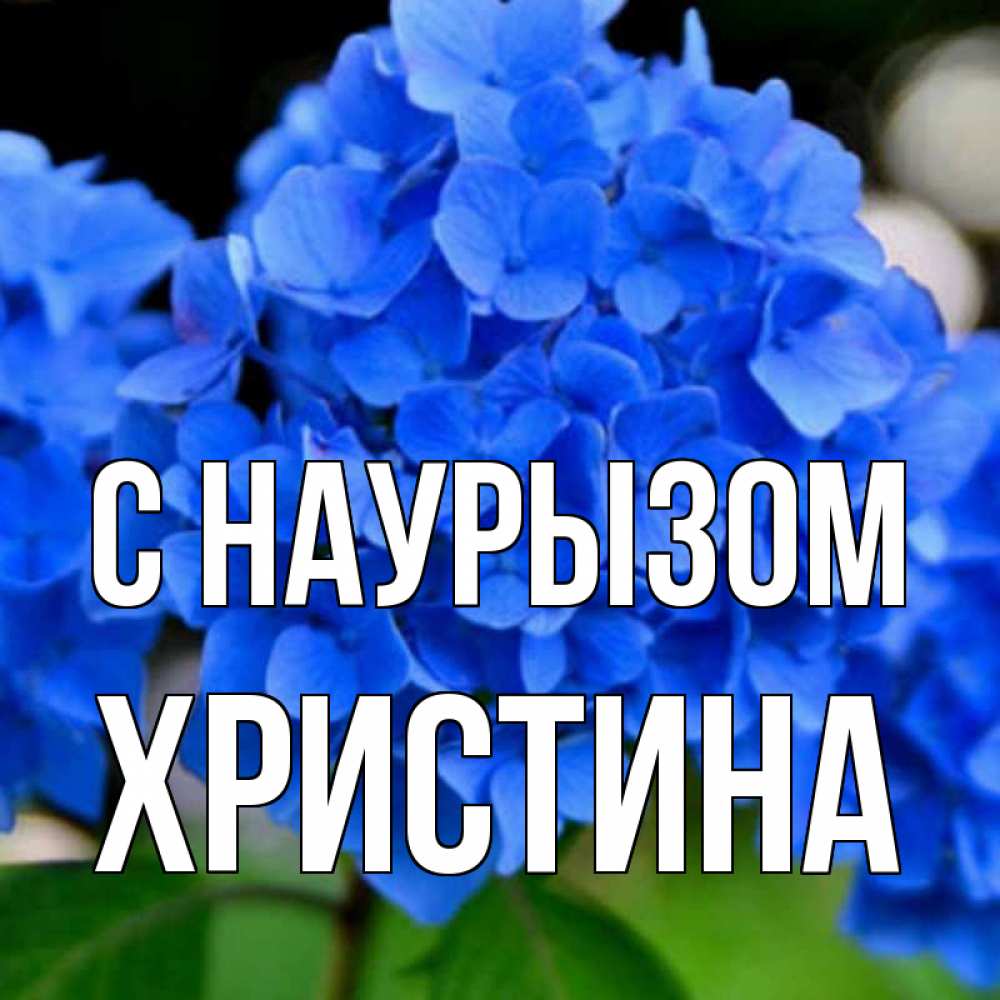 Открытка на каждый день с именем, Христина С наурызом синие цветы Прикольная открытка с пожеланием онлайн скачать бесплатно 