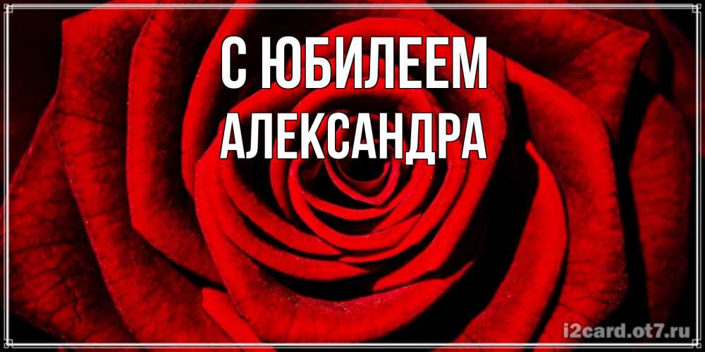 Открытка на каждый день с именем, Александра С юбилеем алая роза Прикольная открытка с пожеланием онлайн скачать бесплатно 