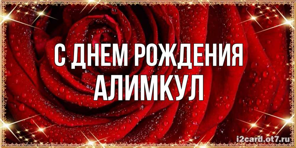 Открытка на каждый день с именем, Алимкул С днем рождения роса на розе блестящая в лучах солнца Прикольная открытка с пожеланием онлайн скачать бесплатно 