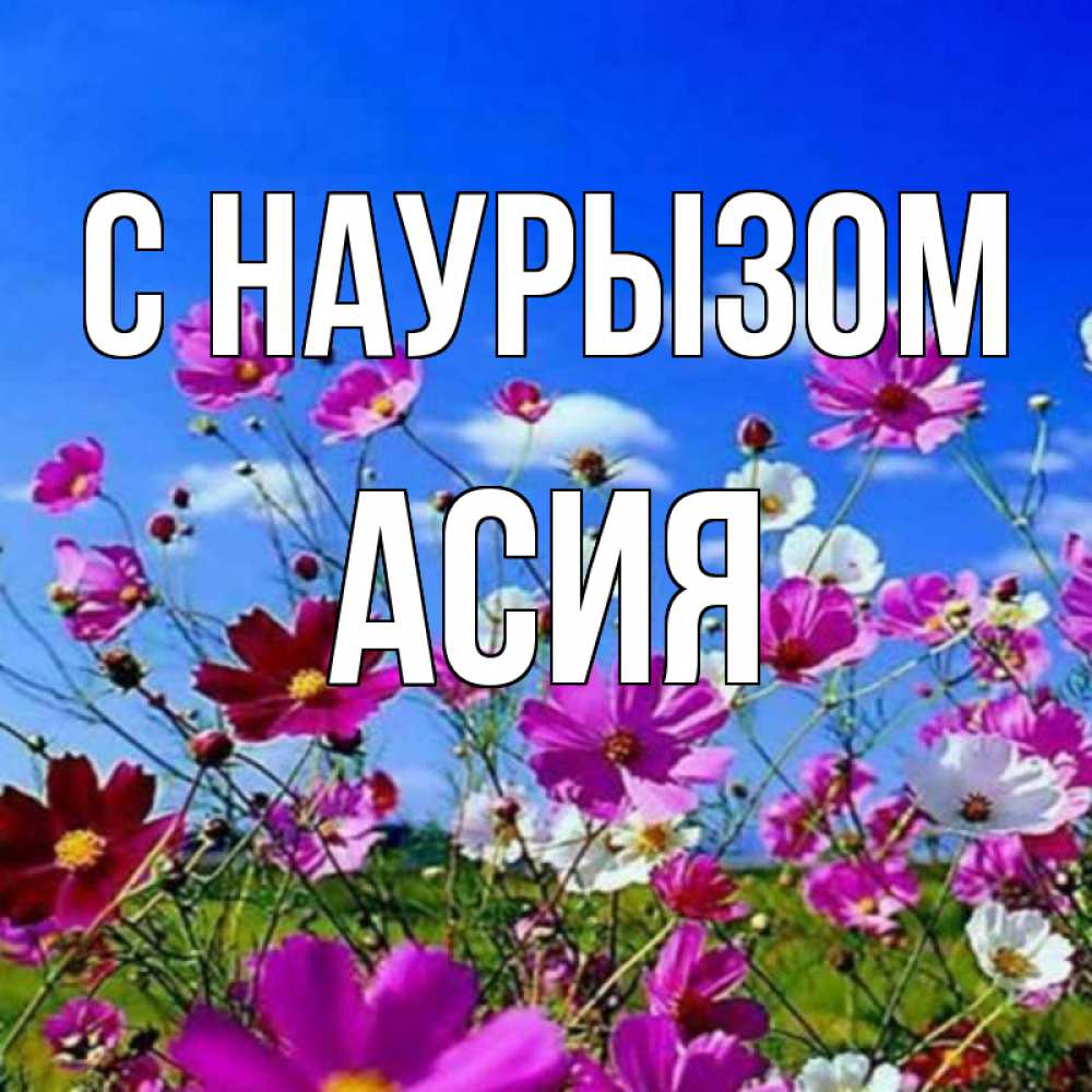 Открытка на каждый день с именем, Асия С наурызом цветы Прикольная открытка с пожеланием онлайн скачать бесплатно 