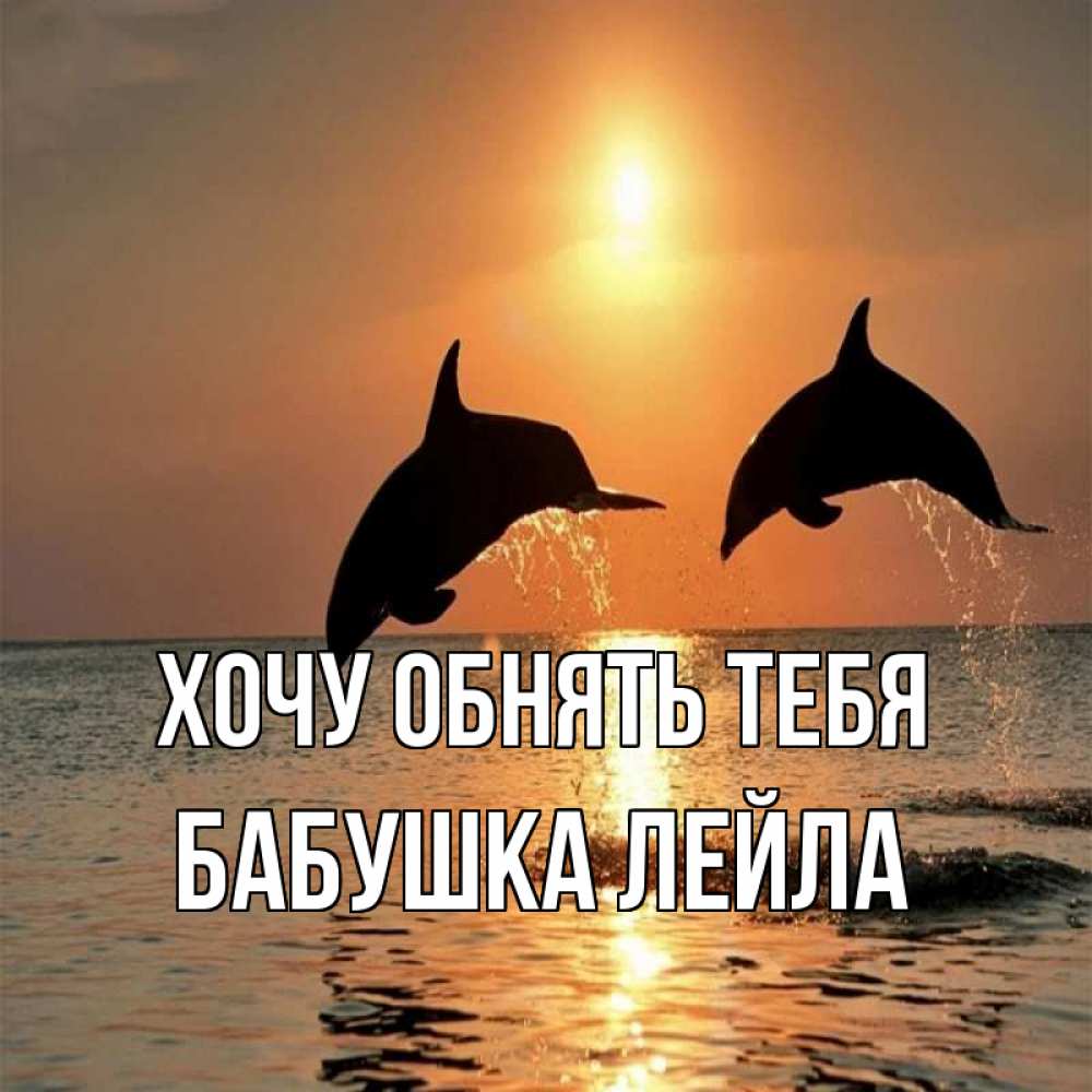 Открытка на каждый день с именем, Бабушка-Лейла Хочу обнять тебя рыбы на закате Прикольная открытка с пожеланием онлайн скачать бесплатно 