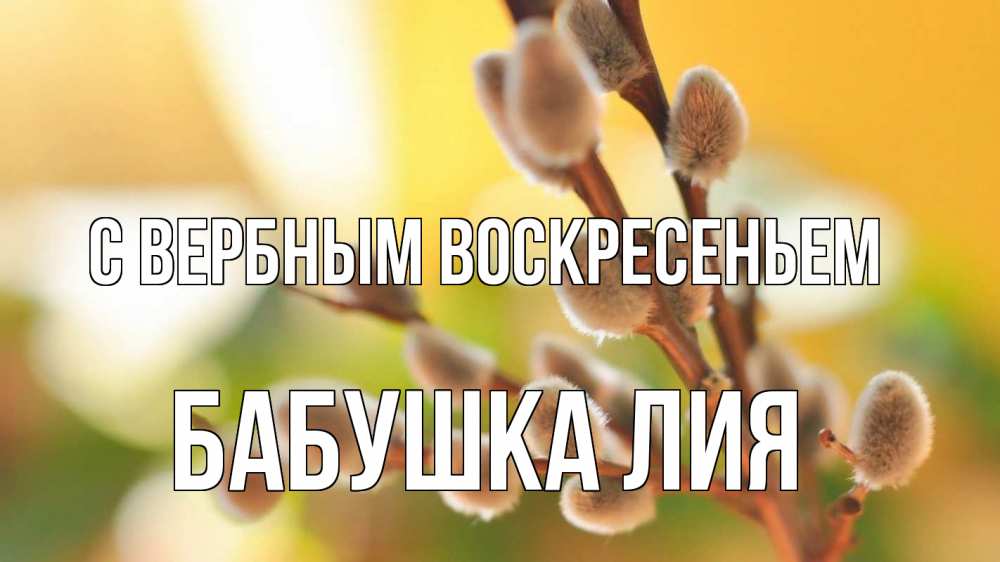 Открытка на каждый день с именем, Бабушка-Лия С вербным воскресеньем верба 1 Прикольная открытка с пожеланием онлайн скачать бесплатно 