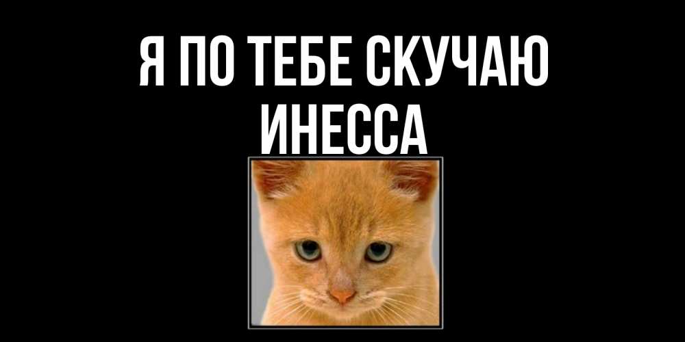 Открытка на каждый день с именем, Инесса Я по тебе скучаю открытки рыжий котенок скучает по тебе Прикольная открытка с пожеланием онлайн скачать бесплатно 