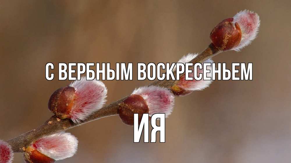 Открытка на каждый день с именем, Ия С вербным воскресеньем верба Прикольная открытка с пожеланием онлайн скачать бесплатно 