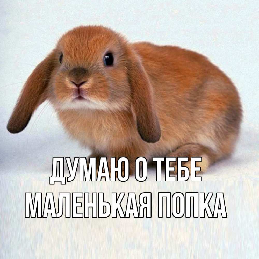 Открытка на каждый день с именем, Маленькая-попка Думаю о тебе кроль коричневый Прикольная открытка с пожеланием онлайн скачать бесплатно 