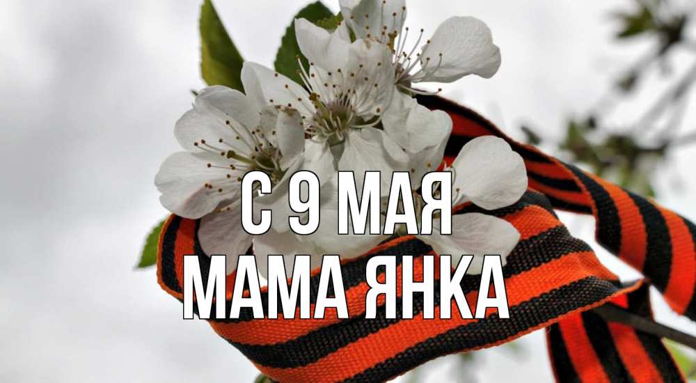 Открытка на каждый день с именем, Мама-Янка С 9 мая 9 мая Прикольная открытка с пожеланием онлайн скачать бесплатно 
