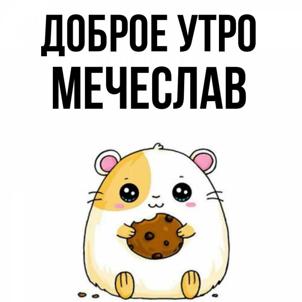 Открытка на каждый день с именем, Мечеслав Доброе утро есть печеньку. Утречко Прикольная открытка с пожеланием онлайн скачать бесплатно 
