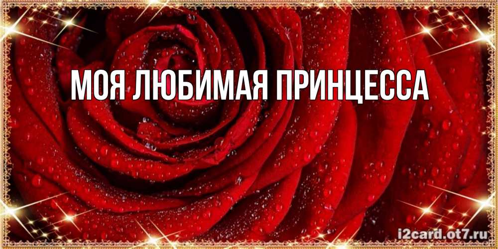 Открытка на каждый день с именем, Моя-Любимая-Принцесса Главная роса на розе блестящая в лучах солнца Прикольная открытка с пожеланием онлайн скачать бесплатно 