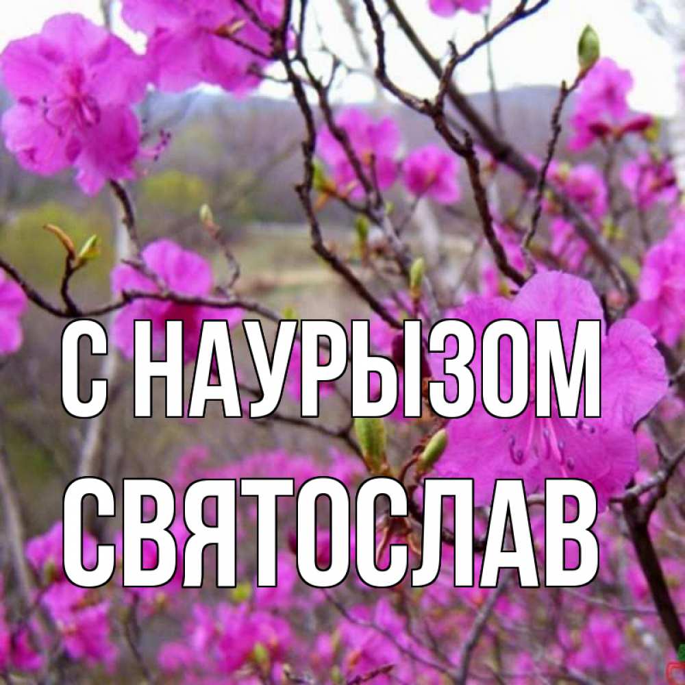 Открытка на каждый день с именем, Святослав С наурызом праздник весны наурыз Прикольная открытка с пожеланием онлайн скачать бесплатно 