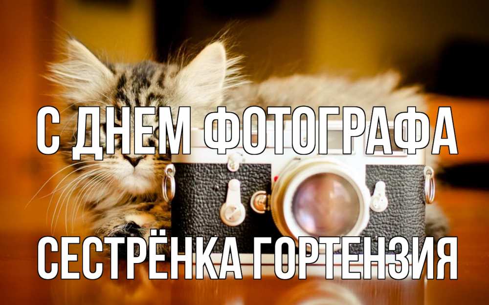 Открытка на каждый день с именем, Сестрёнка-Гортензия С днем фотографа с днем фотографа Прикольная открытка с пожеланием онлайн скачать бесплатно 