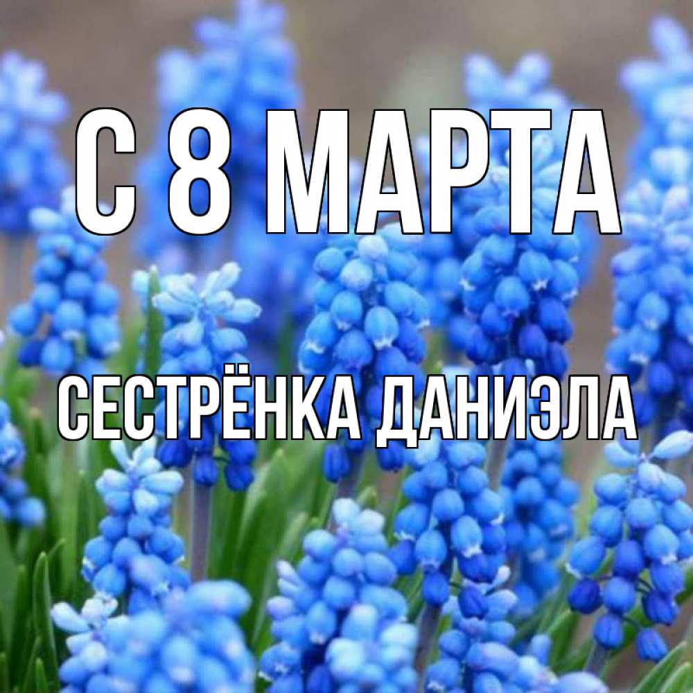 Открытка на каждый день с именем, Сестрёнка-Даниэла С 8 МАРТА Поздравительная открытка для женщин с цветами на праздничную дату Прикольная открытка с пожеланием онлайн скачать бесплатно 
