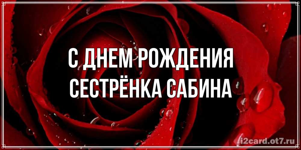 Открытка на каждый день с именем, Сестрёнка-Сабина С днем рождения крупная бордовая роза Прикольная открытка с пожеланием онлайн скачать бесплатно 
