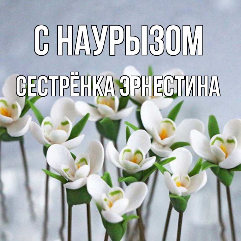 Открытка на каждый день с именем, Сестрёнка-Эрнестина С наурызом весенние цветы Прикольная открытка с пожеланием онлайн скачать бесплатно 