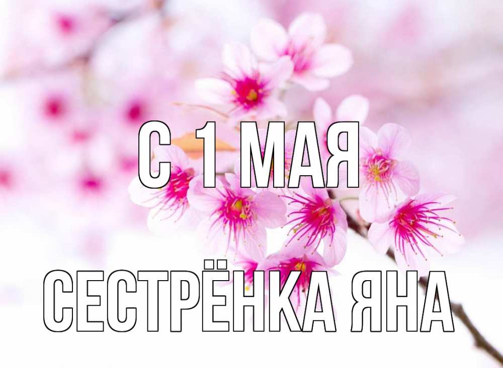 Открытка на каждый день с именем, Сестрёнка-Яна С 1 мая С 1 мая 2 Прикольная открытка с пожеланием онлайн скачать бесплатно 