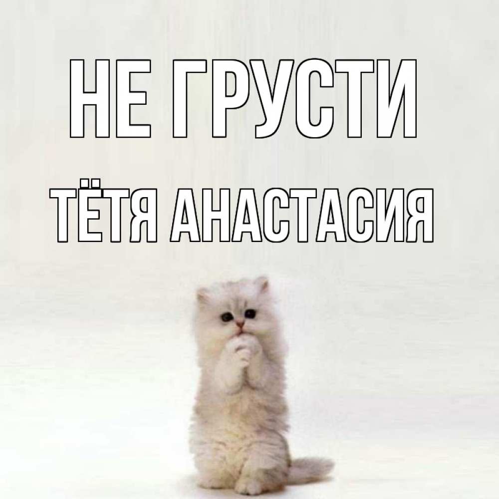 Открытка на каждый день с именем, Тётя-Анастасия Не грусти грустный кот Прикольная открытка с пожеланием онлайн скачать бесплатно 