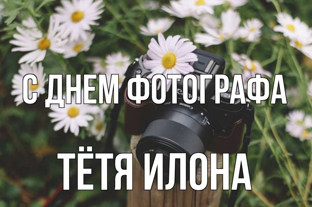 Открытка на каждый день с именем, Тётя-Илона С днем фотографа с днем фотографа Прикольная открытка с пожеланием онлайн скачать бесплатно 