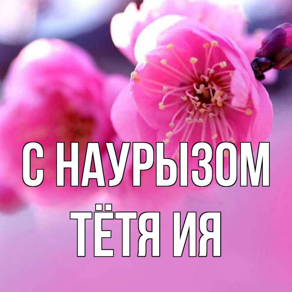 Открытка на каждый день с именем, Тётя-Ия С наурызом международный женский день Прикольная открытка с пожеланием онлайн скачать бесплатно 