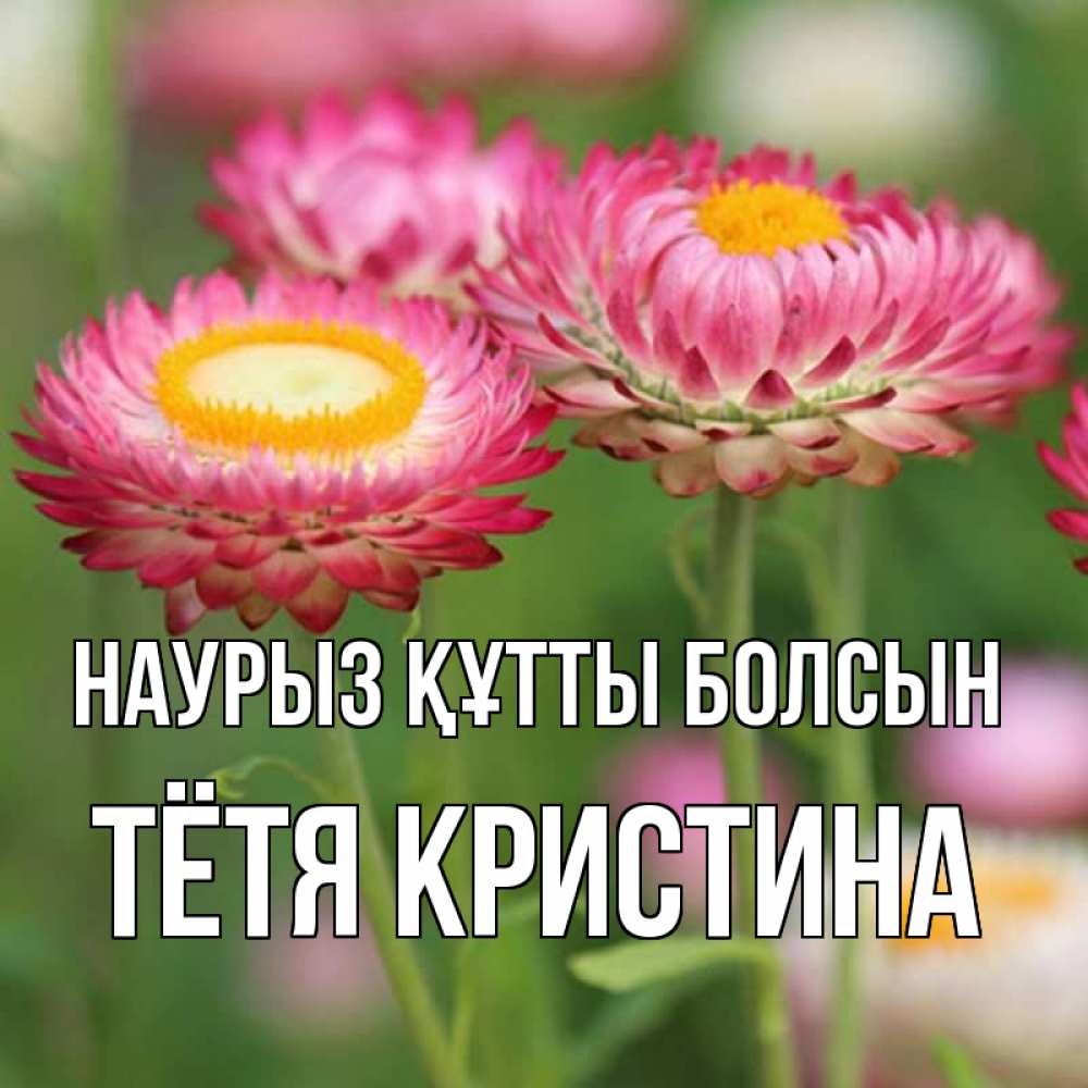 Открытка на каждый день с именем, Тётя-Кристина Наурыз құтты болсын подарок на международный женский день Прикольная открытка с пожеланием онлайн скачать бесплатно 