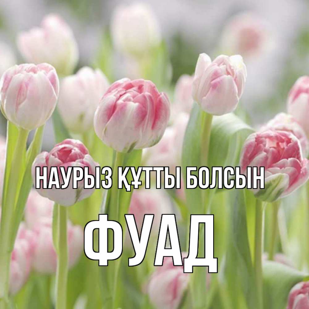 Открытка на каждый день с именем, Фуад Наурыз құтты болсын цветы Прикольная открытка с пожеланием онлайн скачать бесплатно 
