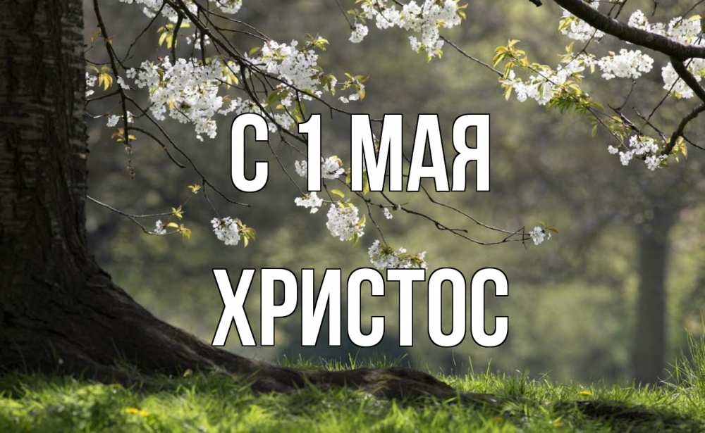 Открытка на каждый день с именем, Христос С 1 мая С 1 мая Прикольная открытка с пожеланием онлайн скачать бесплатно 